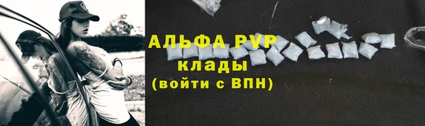 винт Алексин