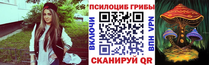 Псилоцибиновые грибы Psilocybe  Елизаветинская 